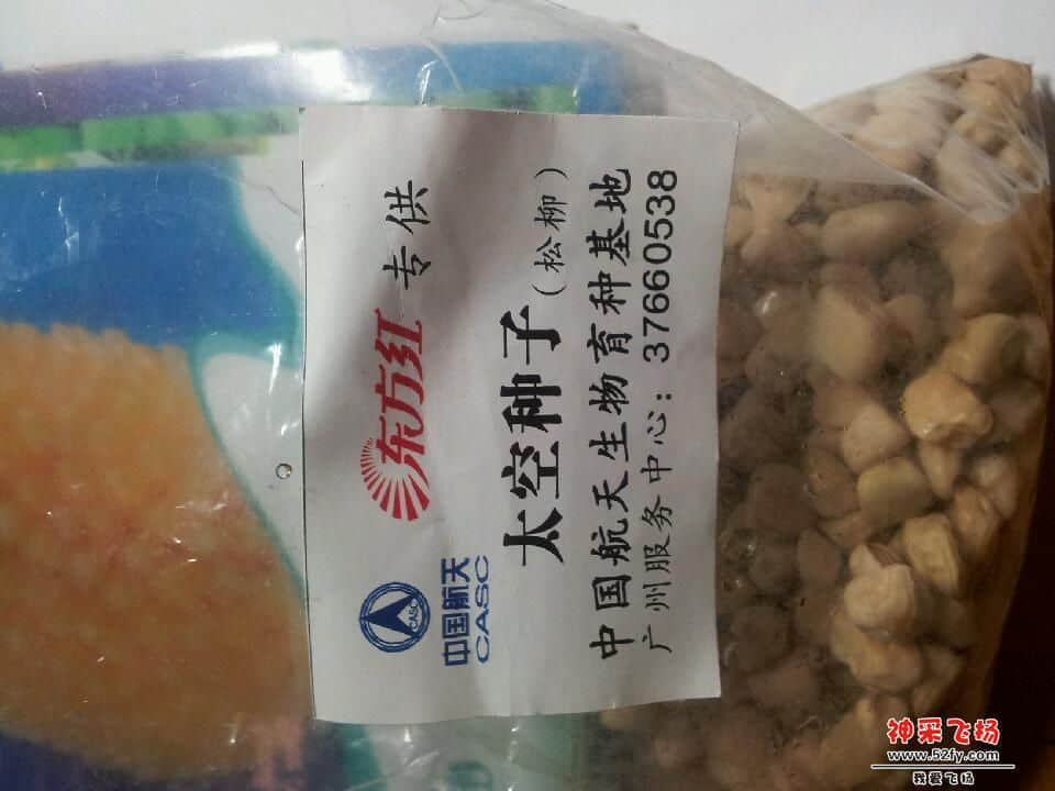 20130322_010838.jpg