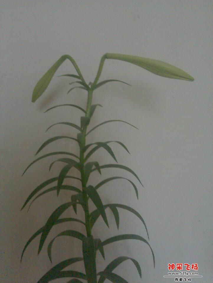 IMAG0307.jpg