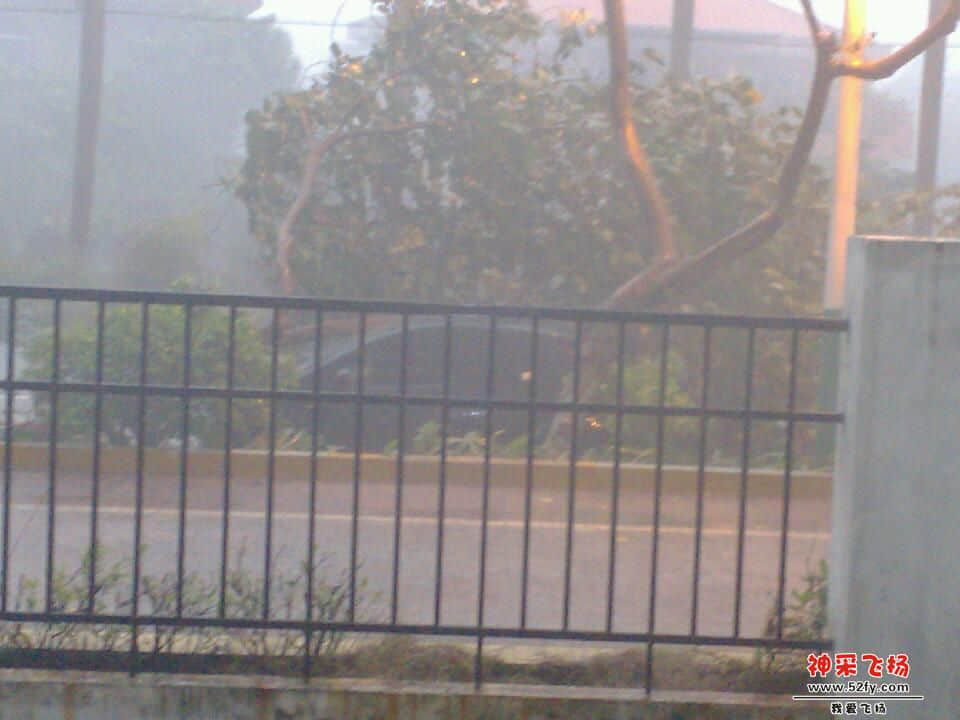 IMG_20130328_100022.jpg