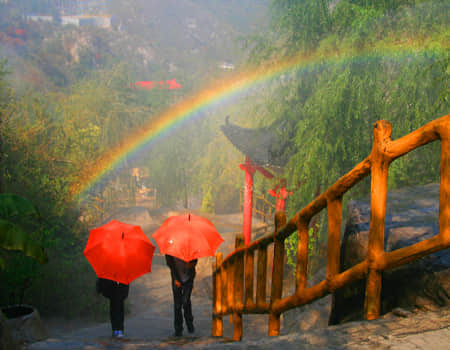 雨林.jpg