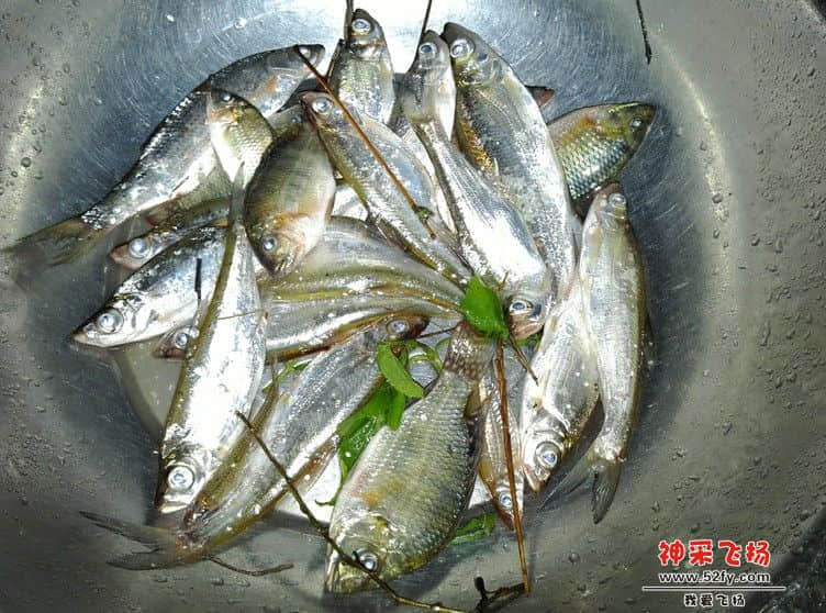 QQ截图20130401100740.jpg