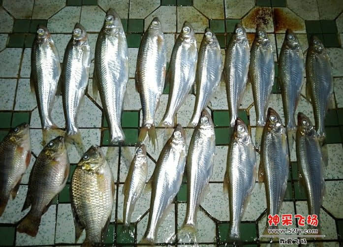 QQ截图20130401100804.jpg