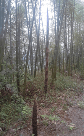 QQ截图20130402225104.png