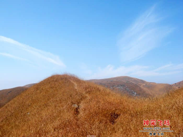 DSC04140_1198169127.jpg