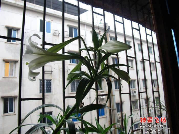 nEO_IMG_IMG_2513.jpg