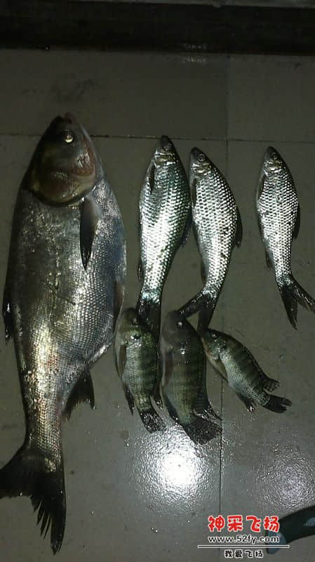 20130409316.jpg