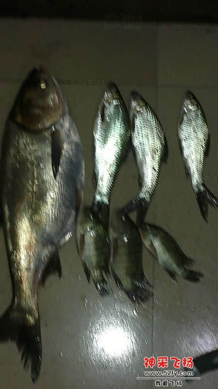 20130409317.jpg
