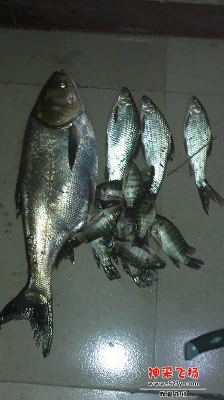 20130409318.jpg