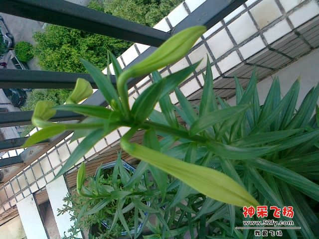 20130414813.jpg
