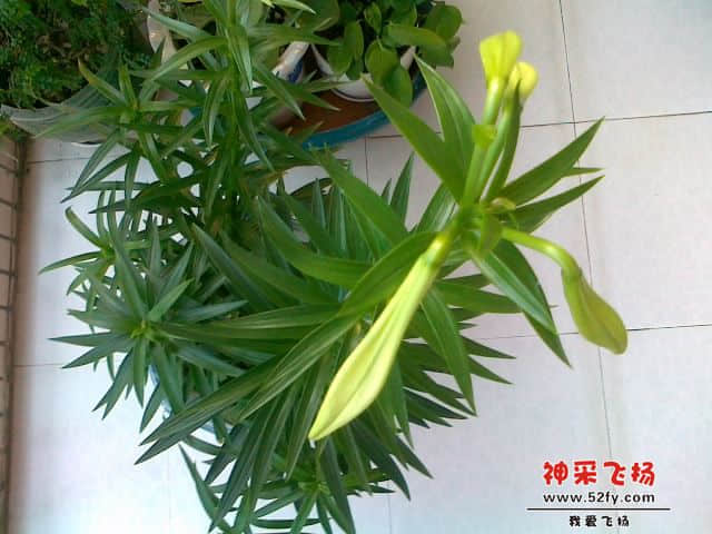 20130414815.jpg