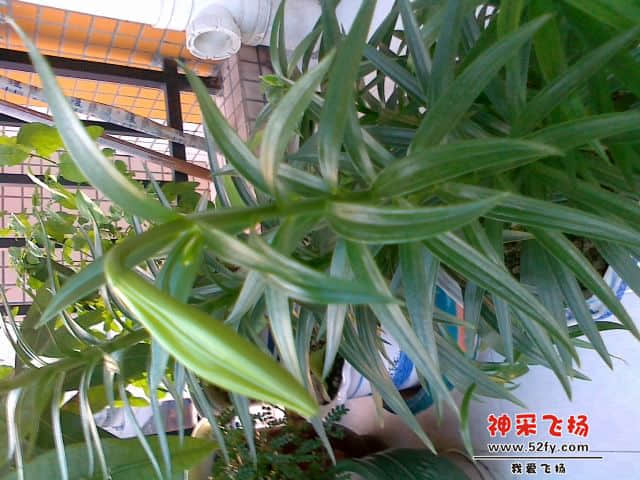 20130414816.jpg