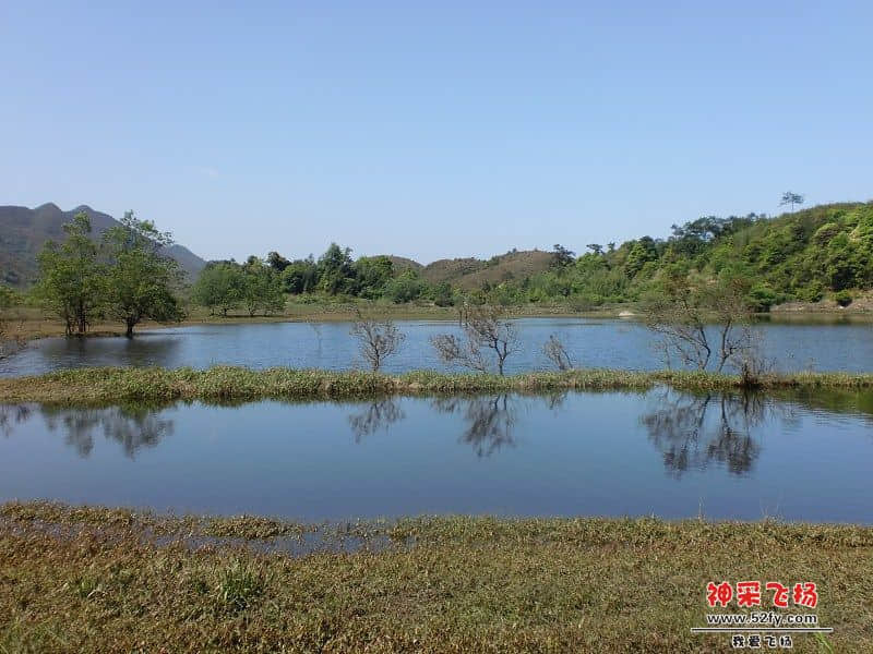 93.jpg