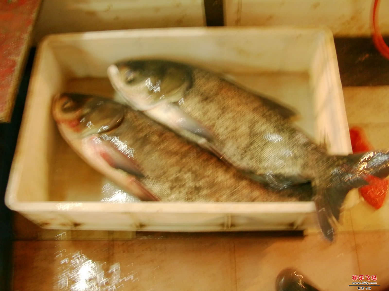 FILE0322.JPG
