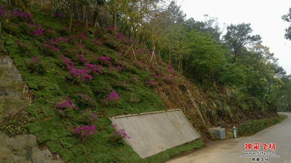 IMG_20130422_165958.jpg