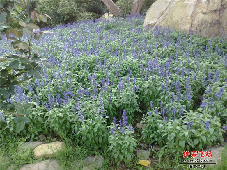 20130511136.jpg