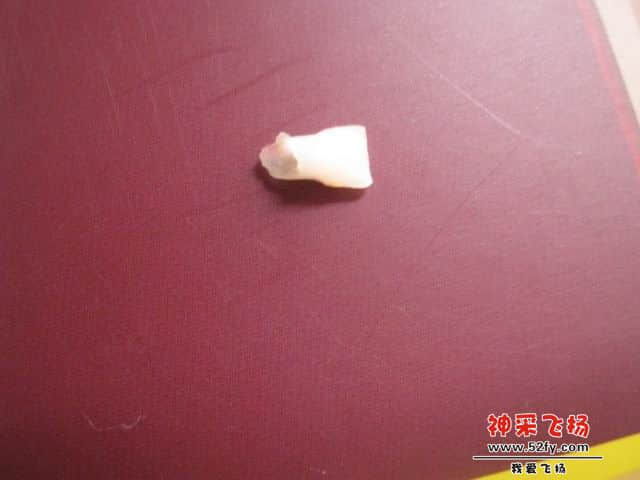 照片 2737.jpg