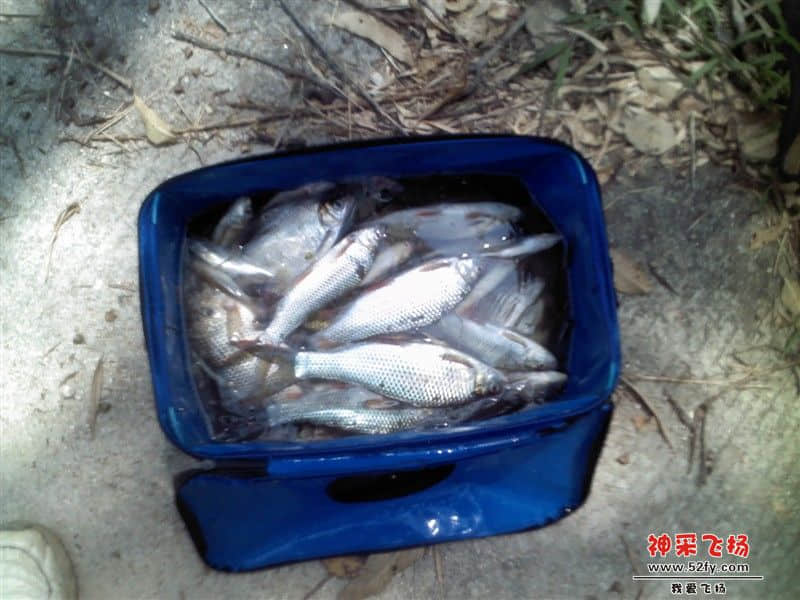 04.jpg