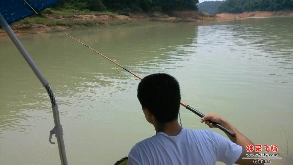 IMG_20130530_142034.jpg