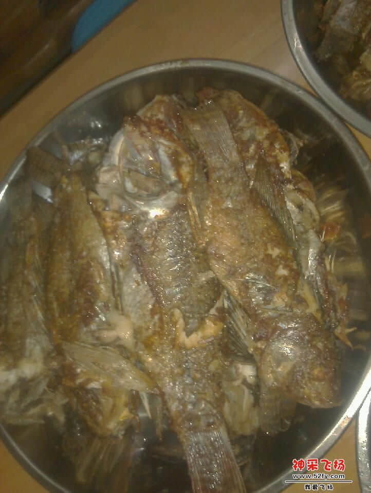 IMAG0493.jpg