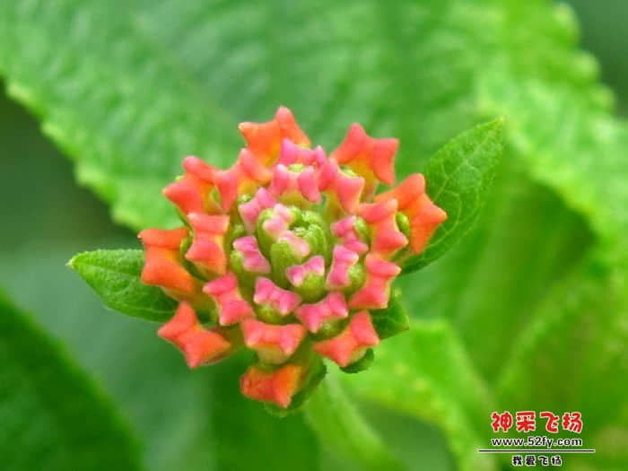 IMG_4349.jpg