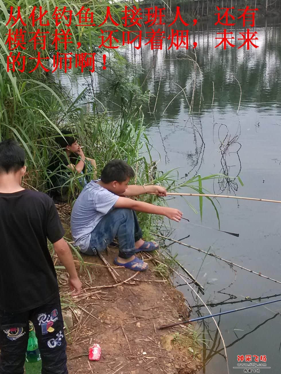 15.jpg