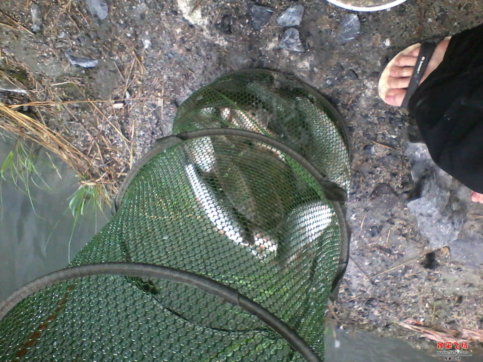 IMG_20130611_161328.jpg