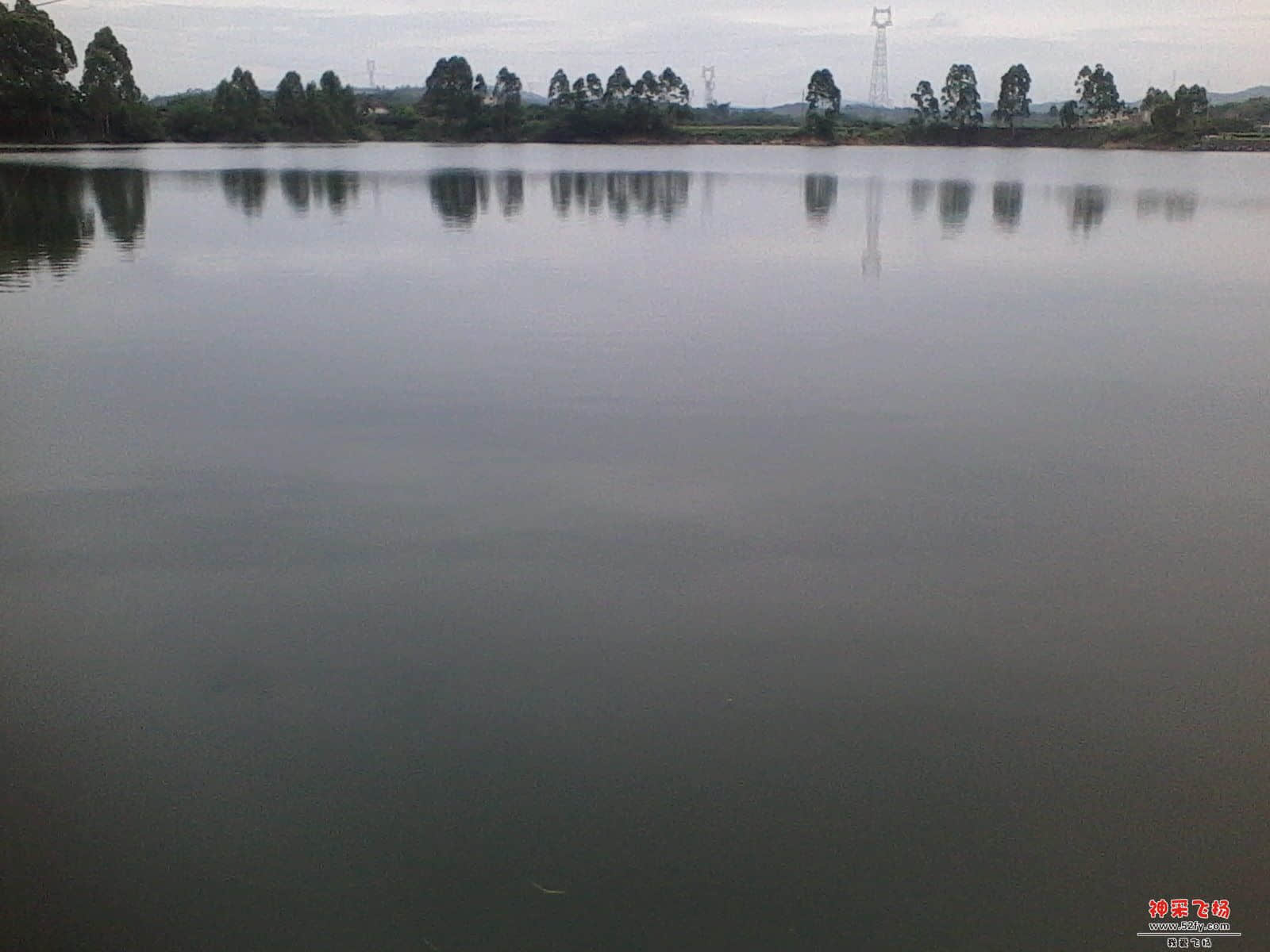 IMG_20130611_155749.jpg