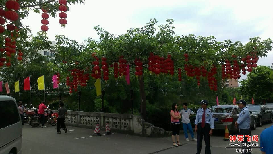IMAG0194.jpg