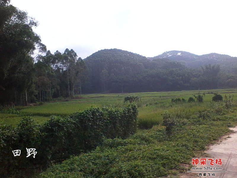 IMG_20130620_083317_副本.jpg