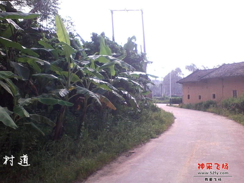 IMG_20130620_083037_副本.jpg