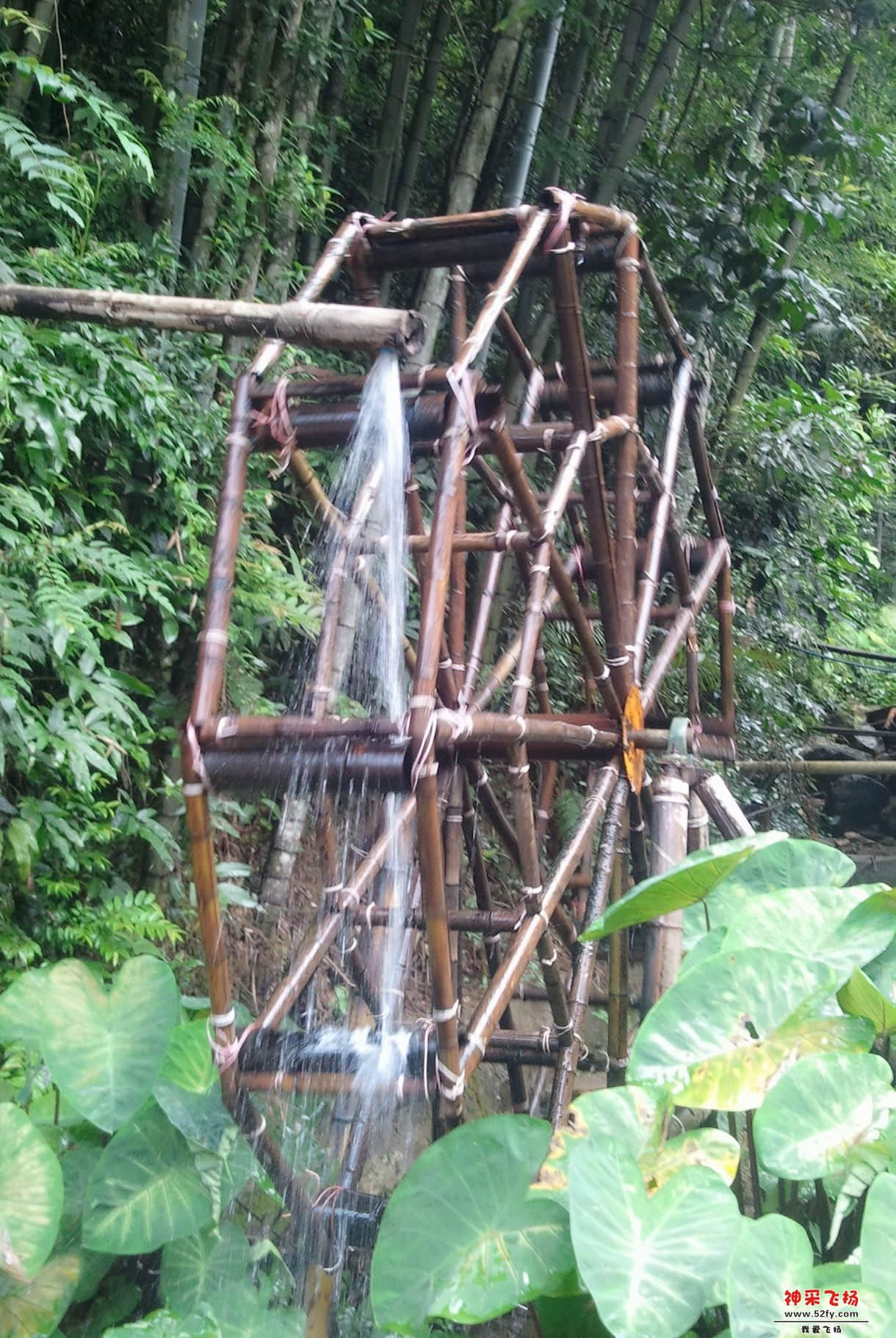 C360_2013-06-23-11-33-12-388.jpg