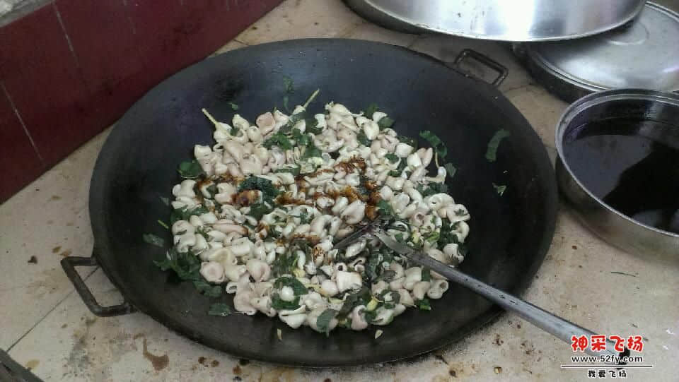 IMAG0698.jpg