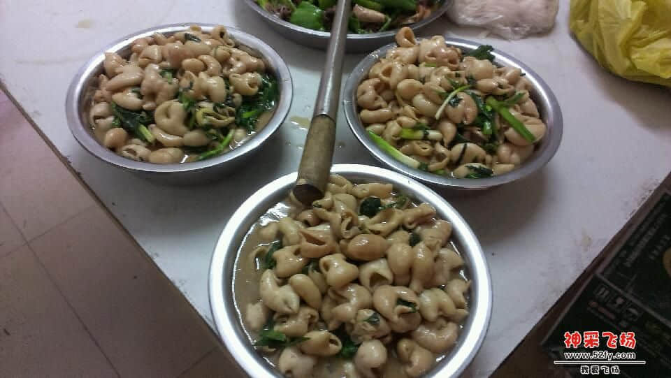 IMAG0704.jpg