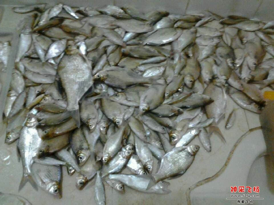 QQ图片20130701231422.jpg