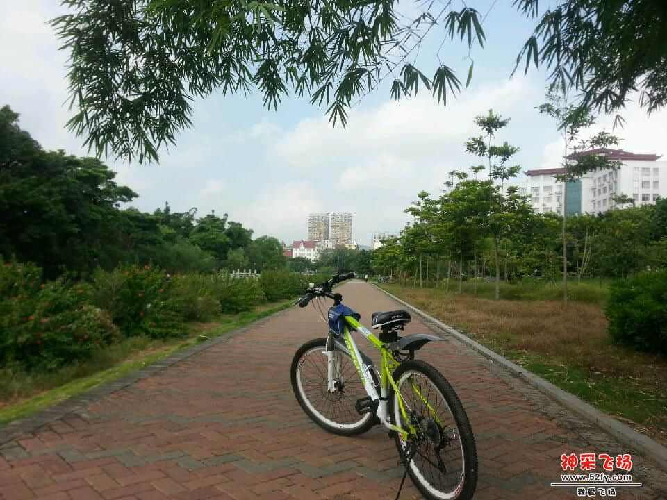 20130705_092811.jpg