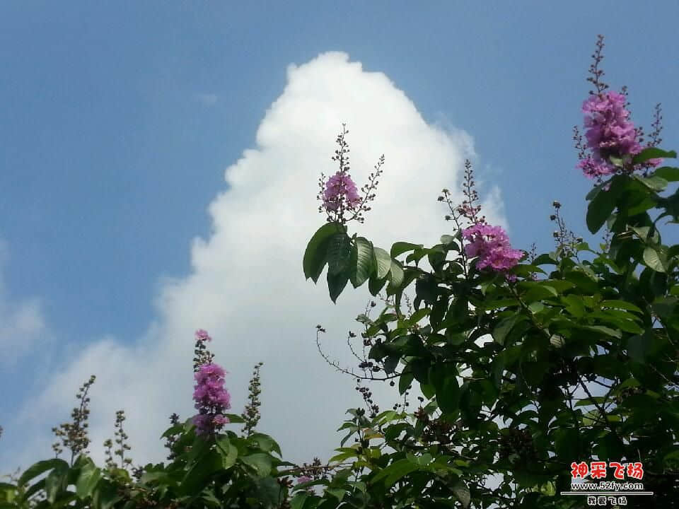 20130705_093311.jpg
