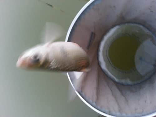 20130712_191413.jpg