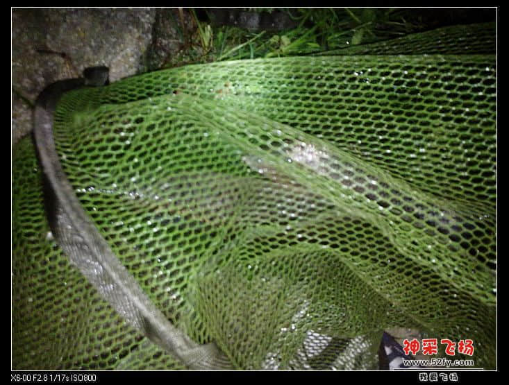 20130714717.jpg