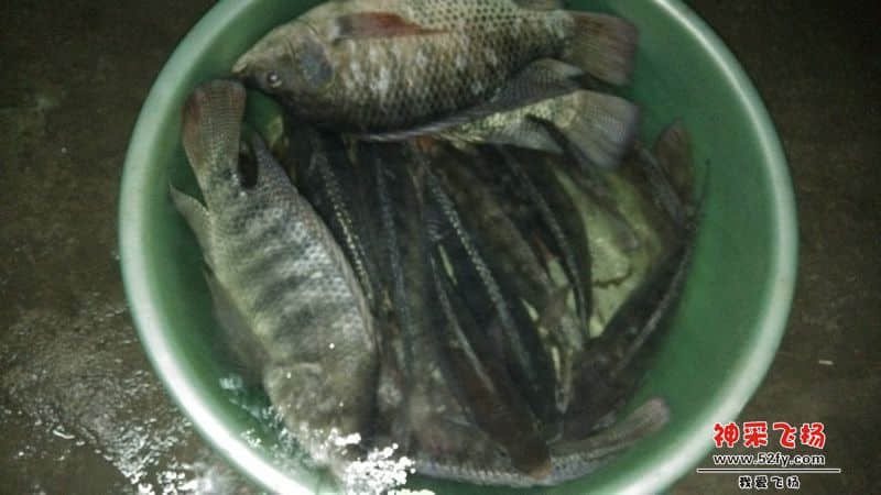 IMG_20130718_204048.jpg