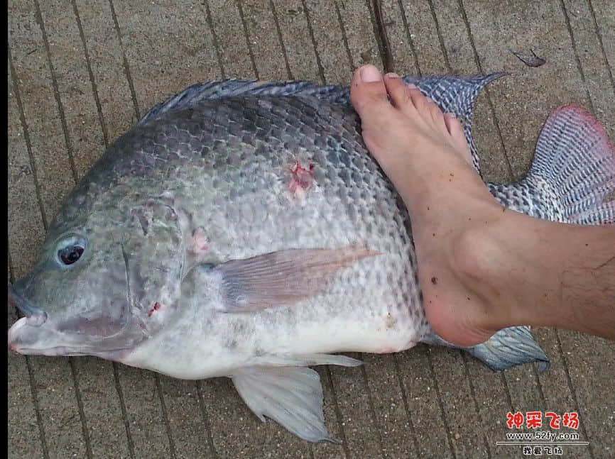 QQ图片20130719174449.jpg