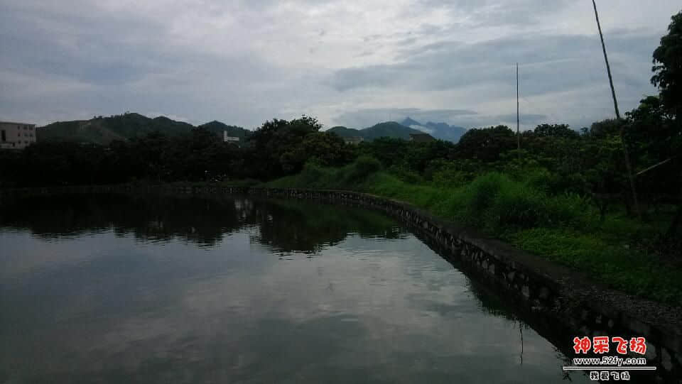 IMG_20130721_095343.jpg
