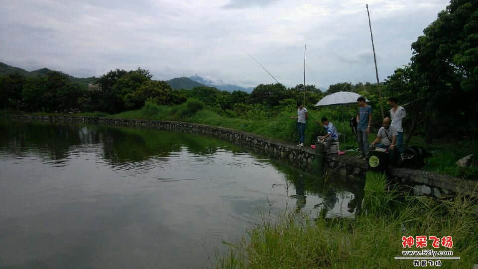 IMG_20130721_104221.jpg
