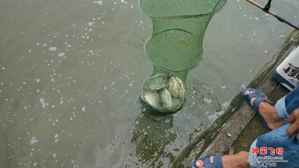 IMG_20130721_112403.jpg