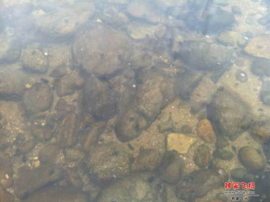 QQ图片20130722191916.jpg