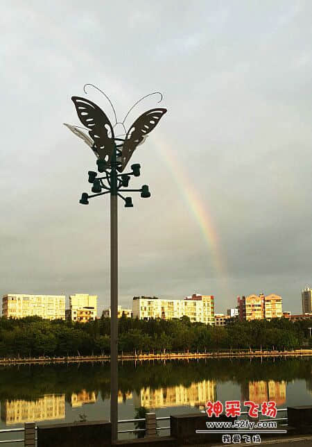 黄金甲  (2).jpg