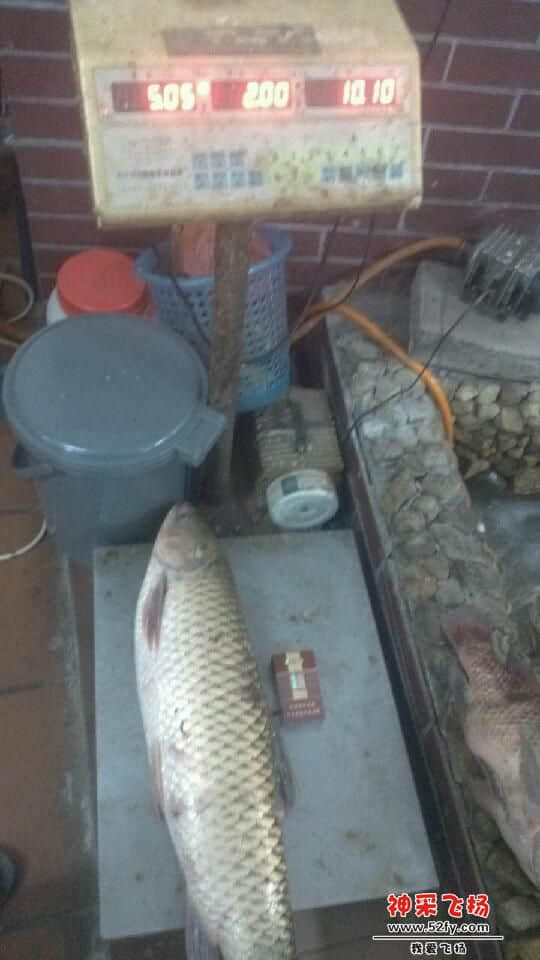 IMG_20130726_194537.jpg