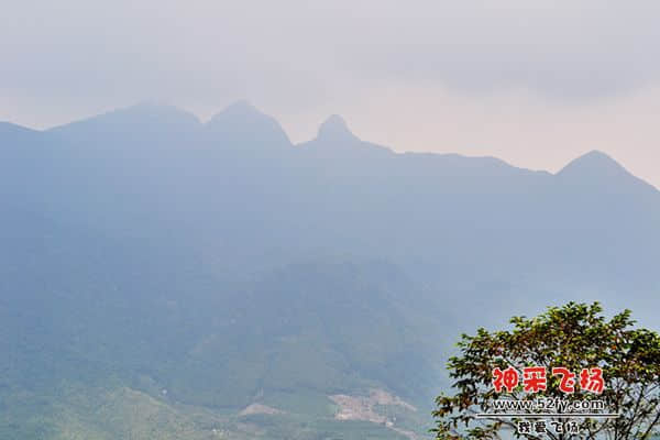 DSC_0435h.jpg