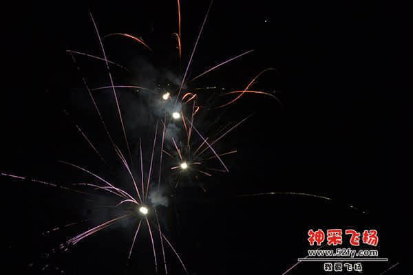 20130211 083.jpg