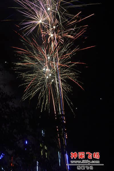 20130211 087.jpg