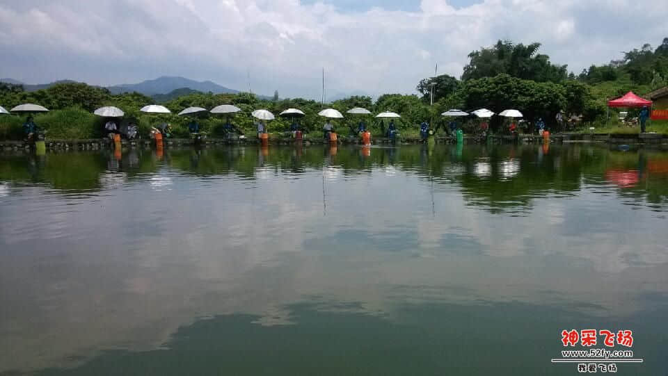IMG_20130728_131529.jpg